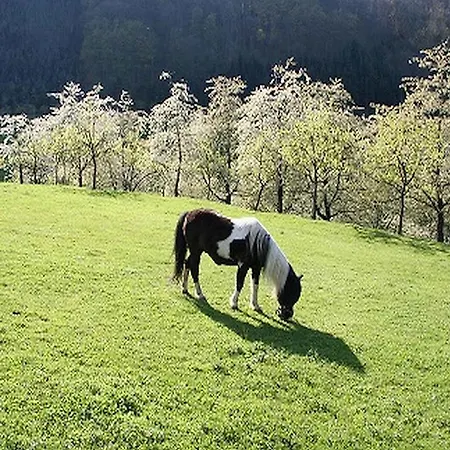 Ritterhof